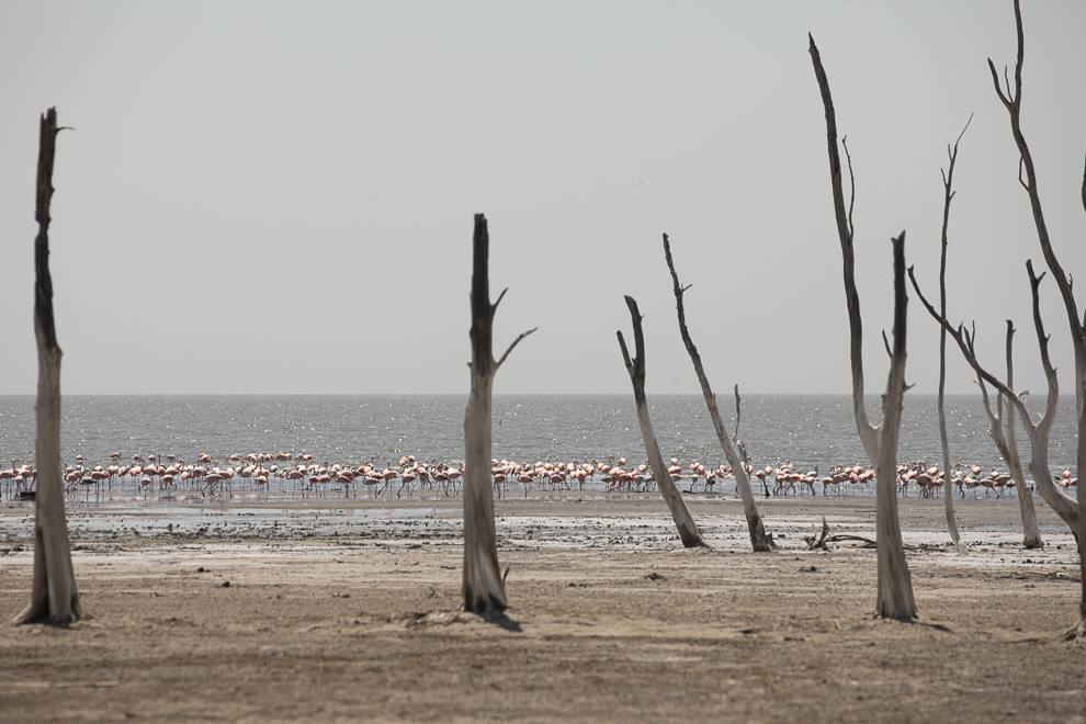 Ordenando el futuro: planificación territorial de pueblos y ciudades